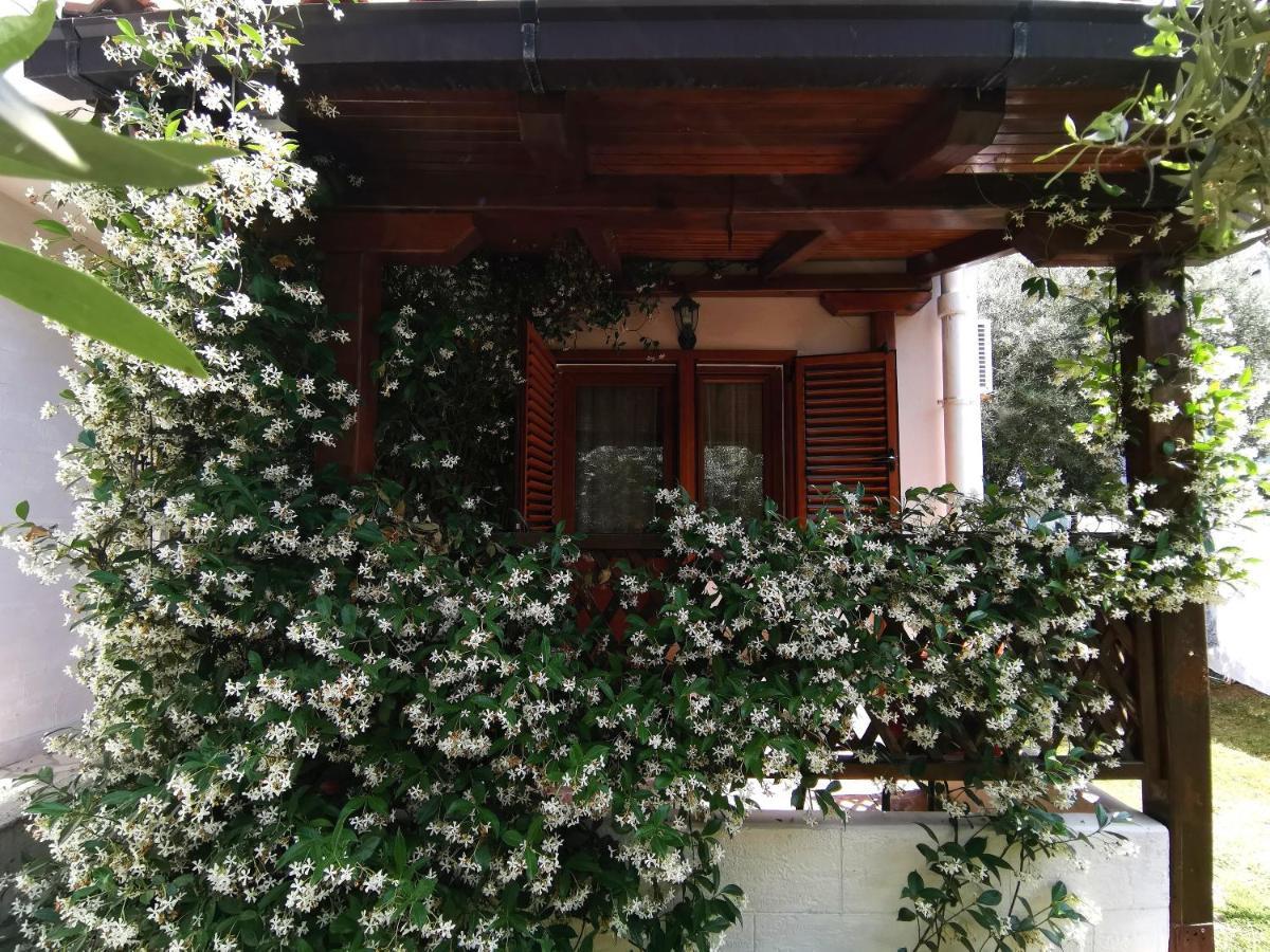 Apartments Maris Garden Petrovac Exterior photo