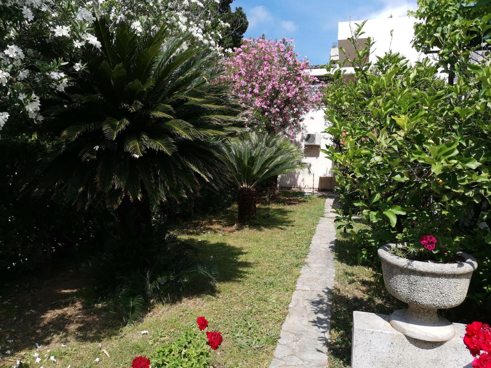 Apartments Maris Garden Petrovac Exterior photo