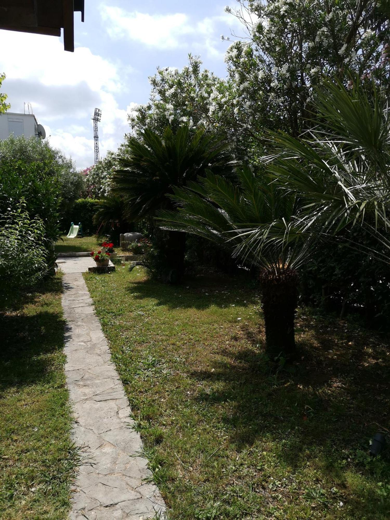 Apartments Maris Garden Petrovac Exterior photo