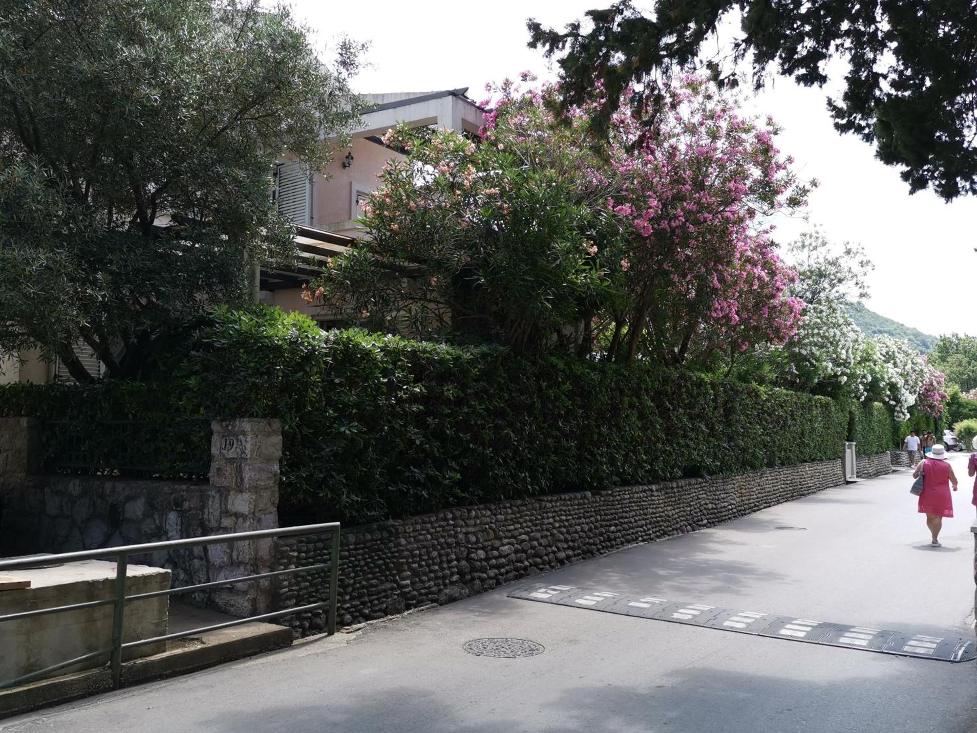 Apartments Maris Garden Petrovac Exterior photo