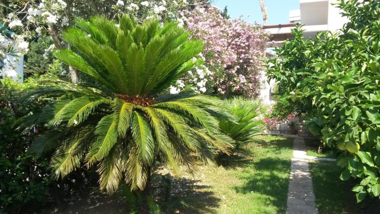 Apartments Maris Garden Petrovac Exterior photo